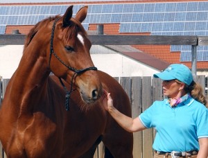 Mary Ann Simonds training Teaching German horse friend