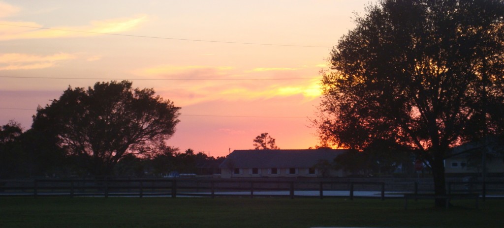 Horse Farm, Wellington, Sunset